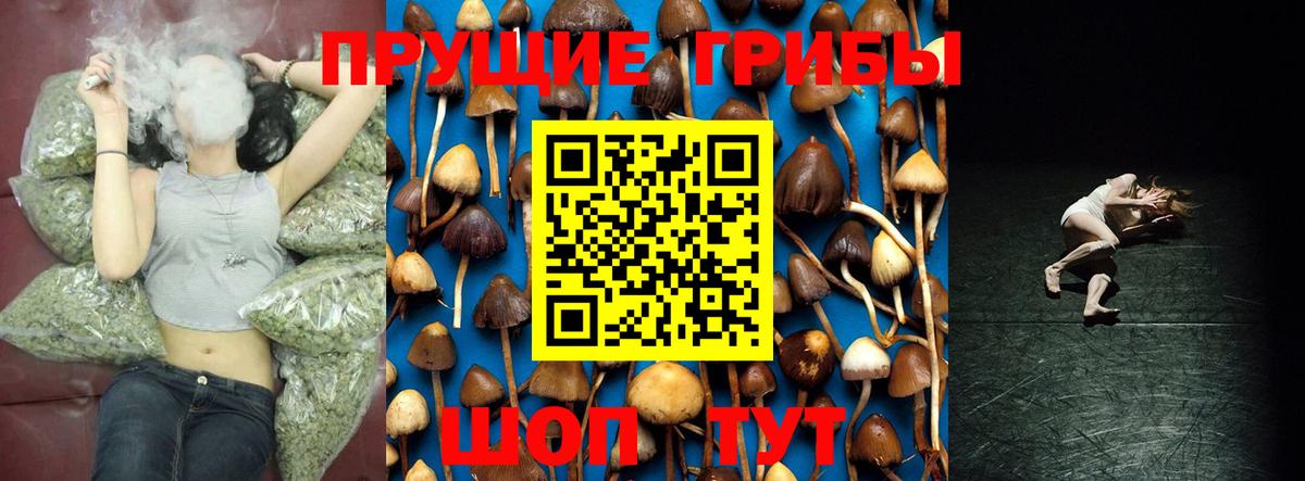 Псилоцибиновые грибы мицелий  Вход с VPN  Краснознаменск 