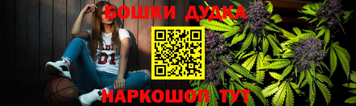Каннабис планчик Краснознаменск